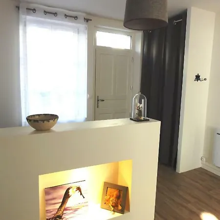 Apartament L'etoile Loire, Centre Avec Jardin *