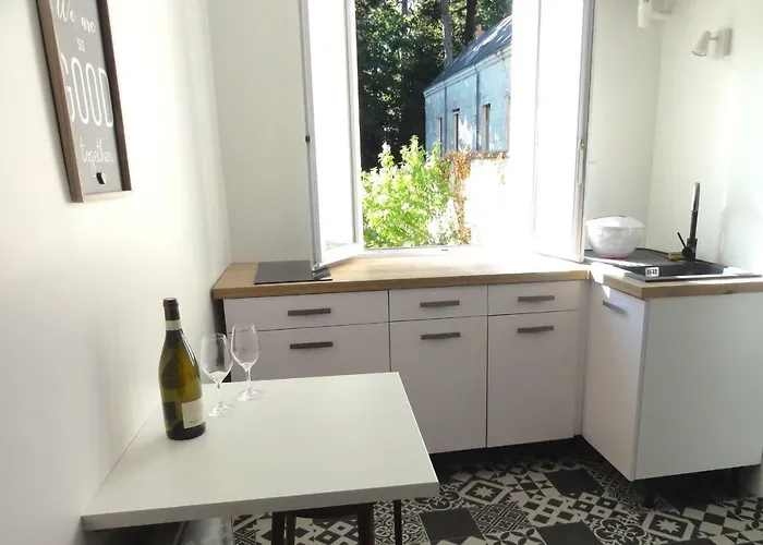 Apartment L'etoile Loire, Centre Avec Jardin