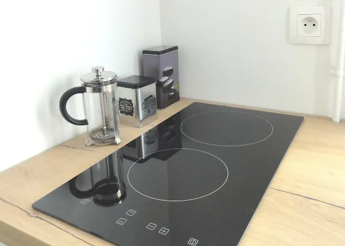 L'etoile Loire, Centre Avec Jardin Apartment Saumur